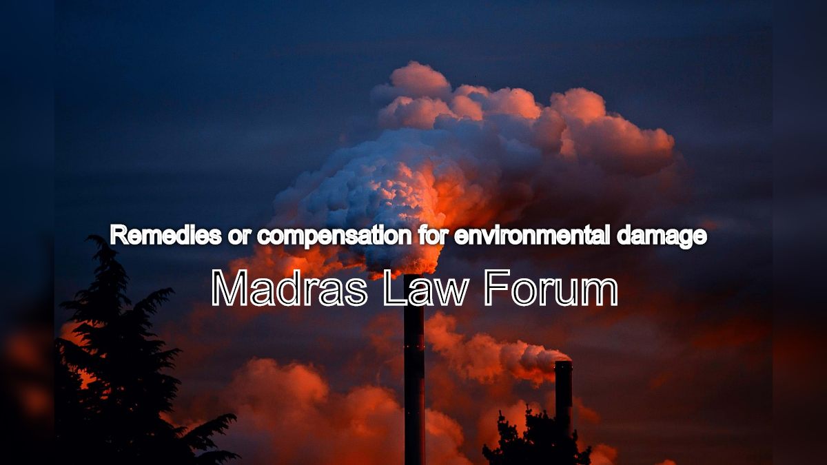 Can I seek legal remedies or compensation for environmental damage or pollution