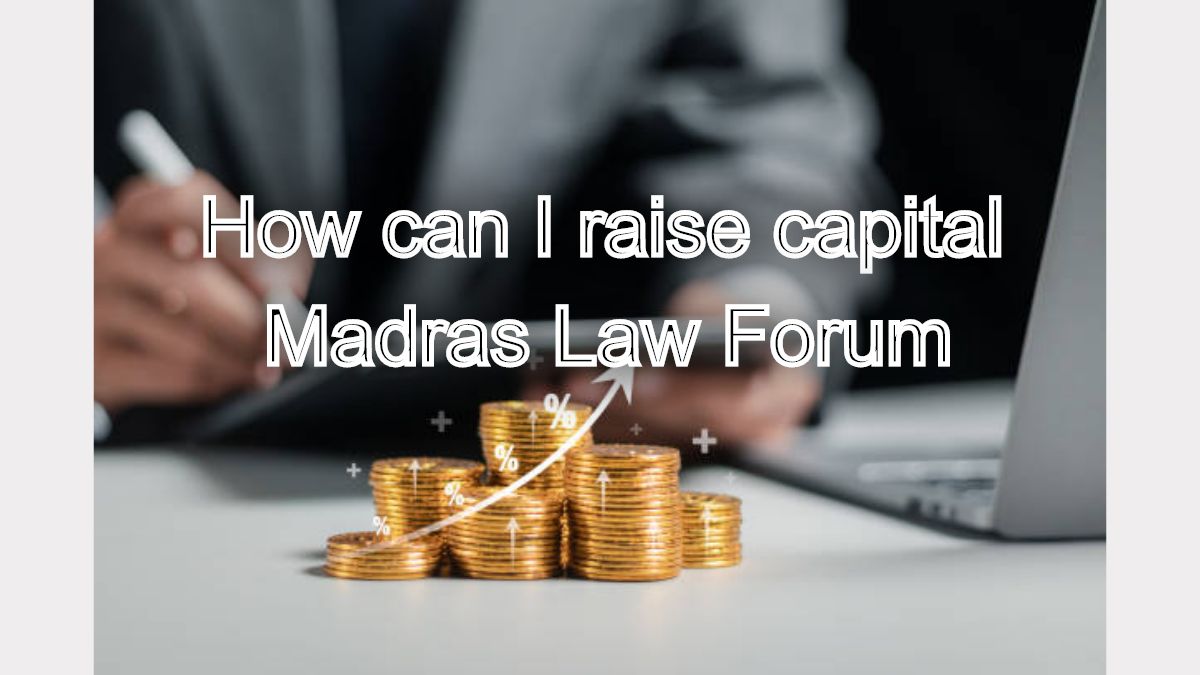 How can I raise capital through public or private offerings in India